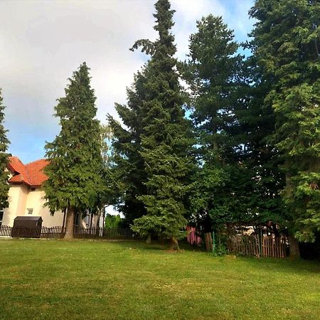 Kuca Za Odmor Zlatibor Villa Екстериор снимка