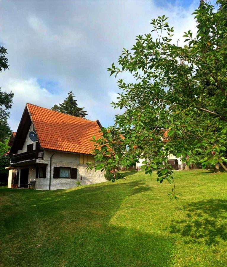 Kuca Za Odmor Zlatibor Villa Екстериор снимка