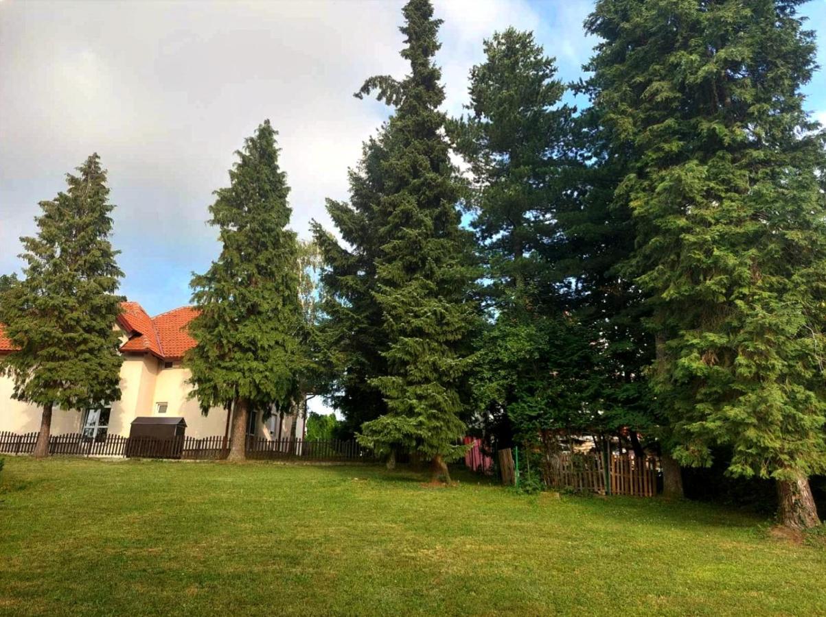 Kuca Za Odmor Zlatibor Villa Екстериор снимка